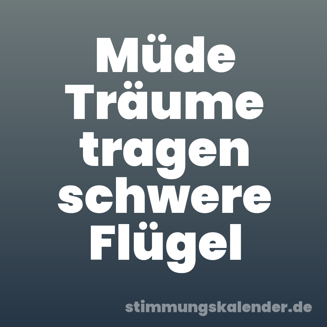 Müde Träume tragen schwere Flügel