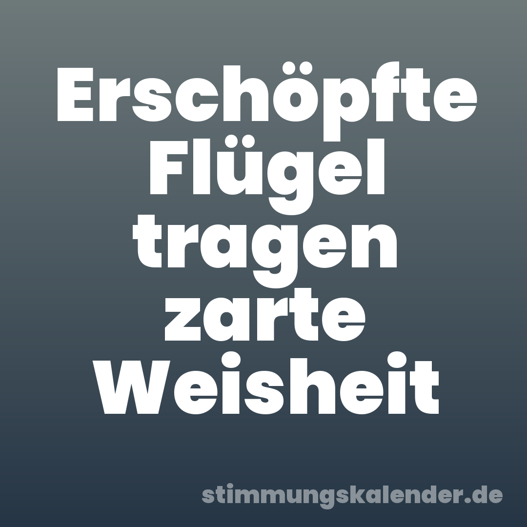 Erschöpfte Flügel tragen zarte Weisheit