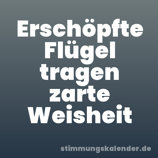 Erschöpfte Flügel tragen zarte Weisheit