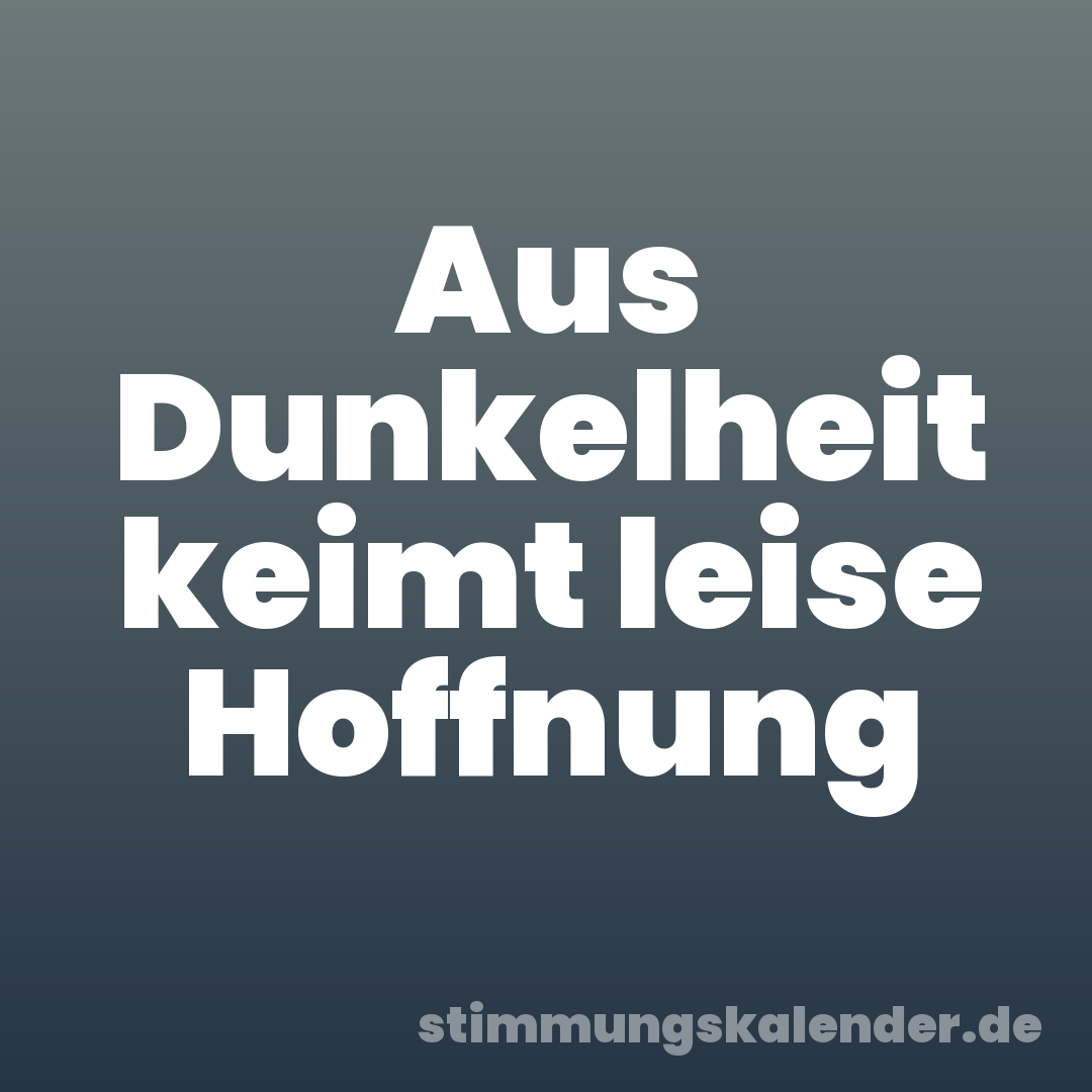 Aus Dunkelheit keimt leise Hoffnung