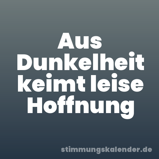 Aus Dunkelheit keimt leise Hoffnung