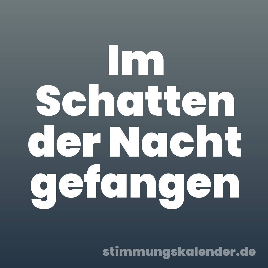 Im Schatten der Nacht gefangen