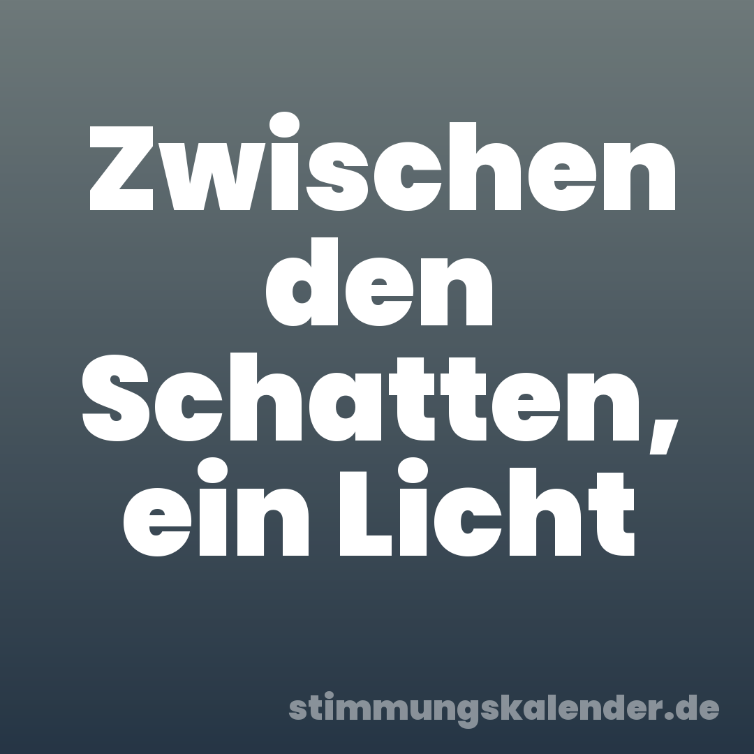 Zwischen den Schatten, ein Licht