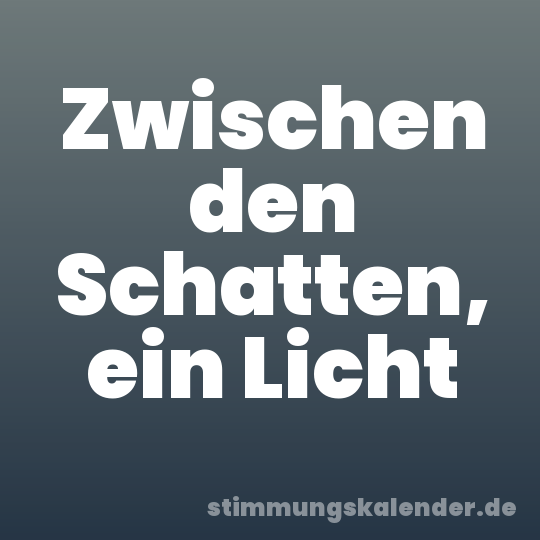 Zwischen den Schatten, ein Licht