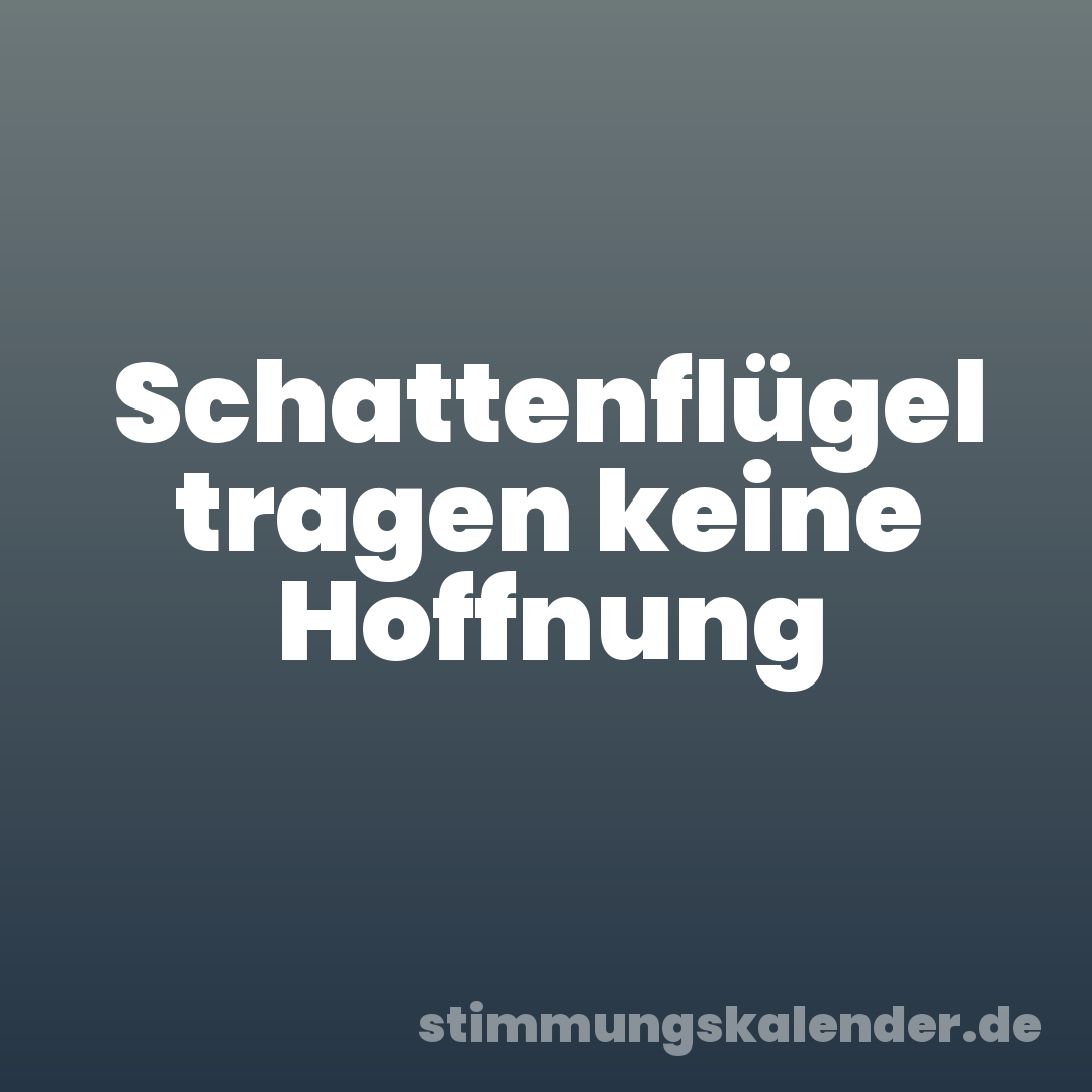Schattenflügel tragen keine Hoffnung