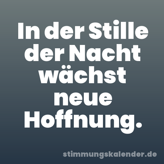 In der Stille der Nacht wächst neue Hoffnung.