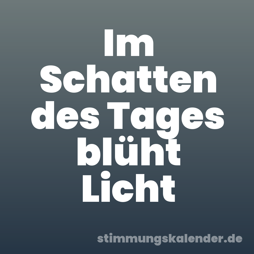 Im Schatten des Tages blüht Licht