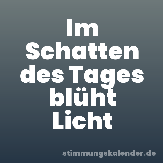 Im Schatten des Tages blüht Licht