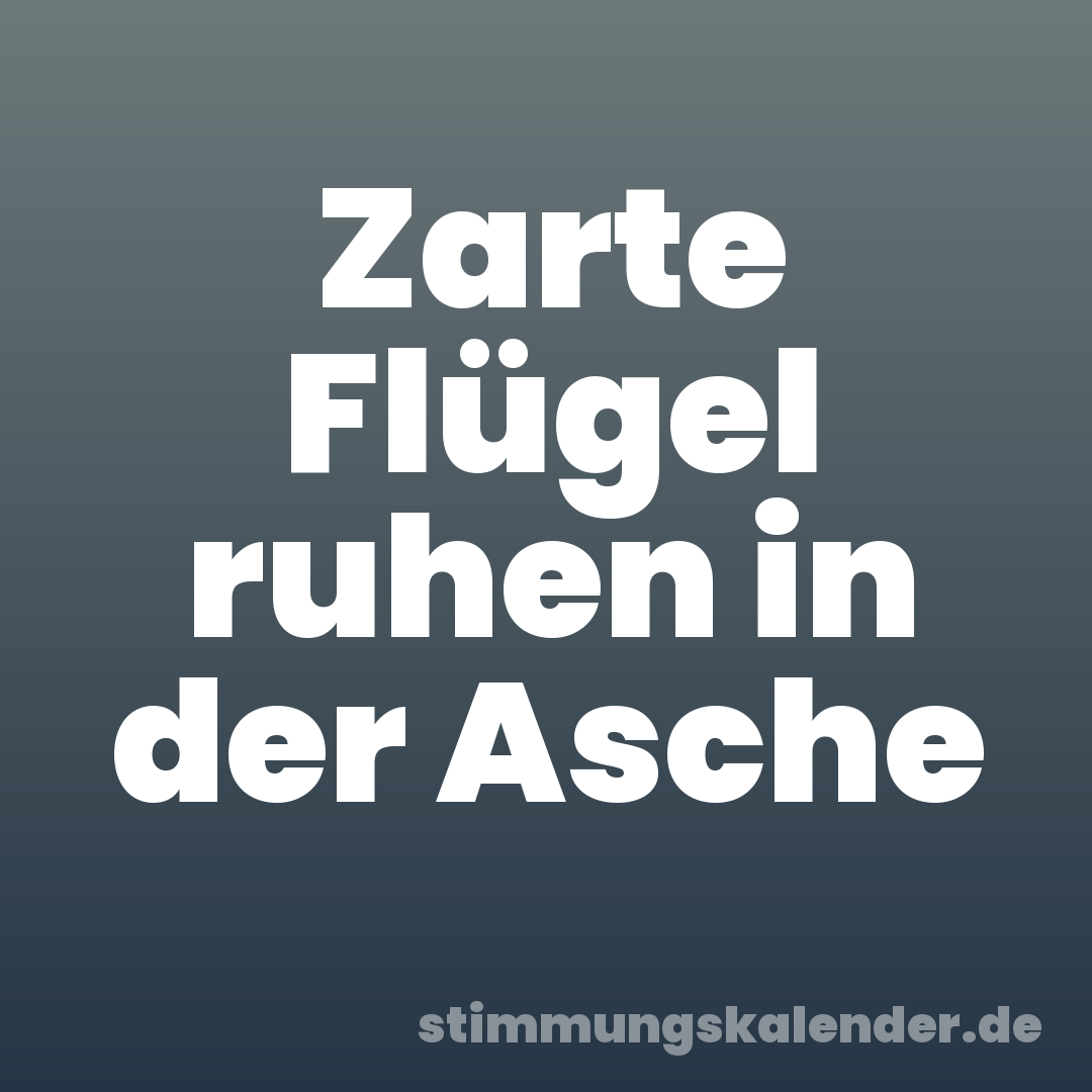 Zarte Flügel ruhen in der Asche