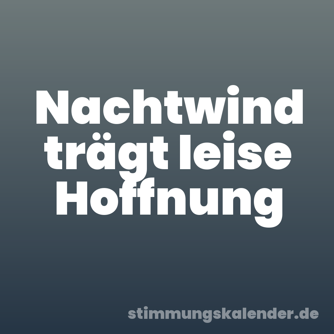 Nachtwind trägt leise Hoffnung