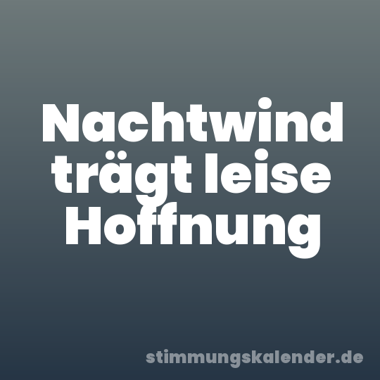 Nachtwind trägt leise Hoffnung