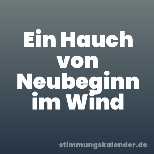 Ein Hauch von Neubeginn im Wind