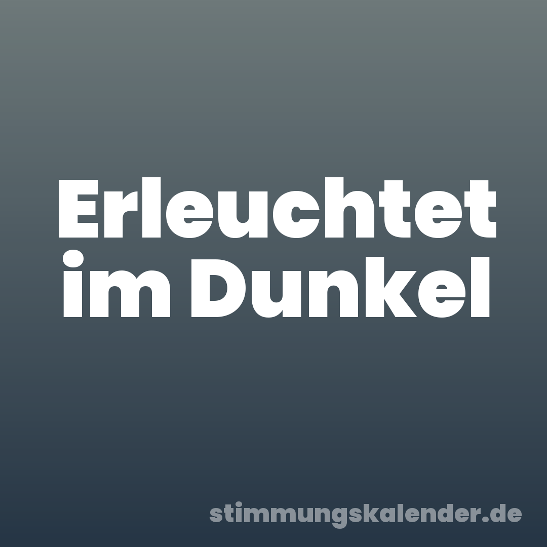 Erleuchtet im Dunkel
