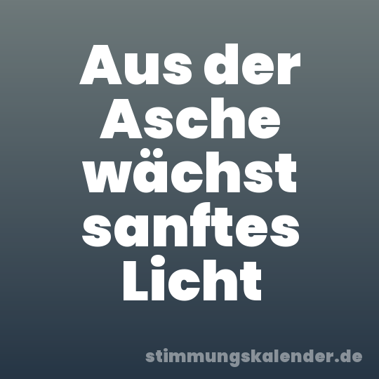Aus der Asche wächst sanftes Licht