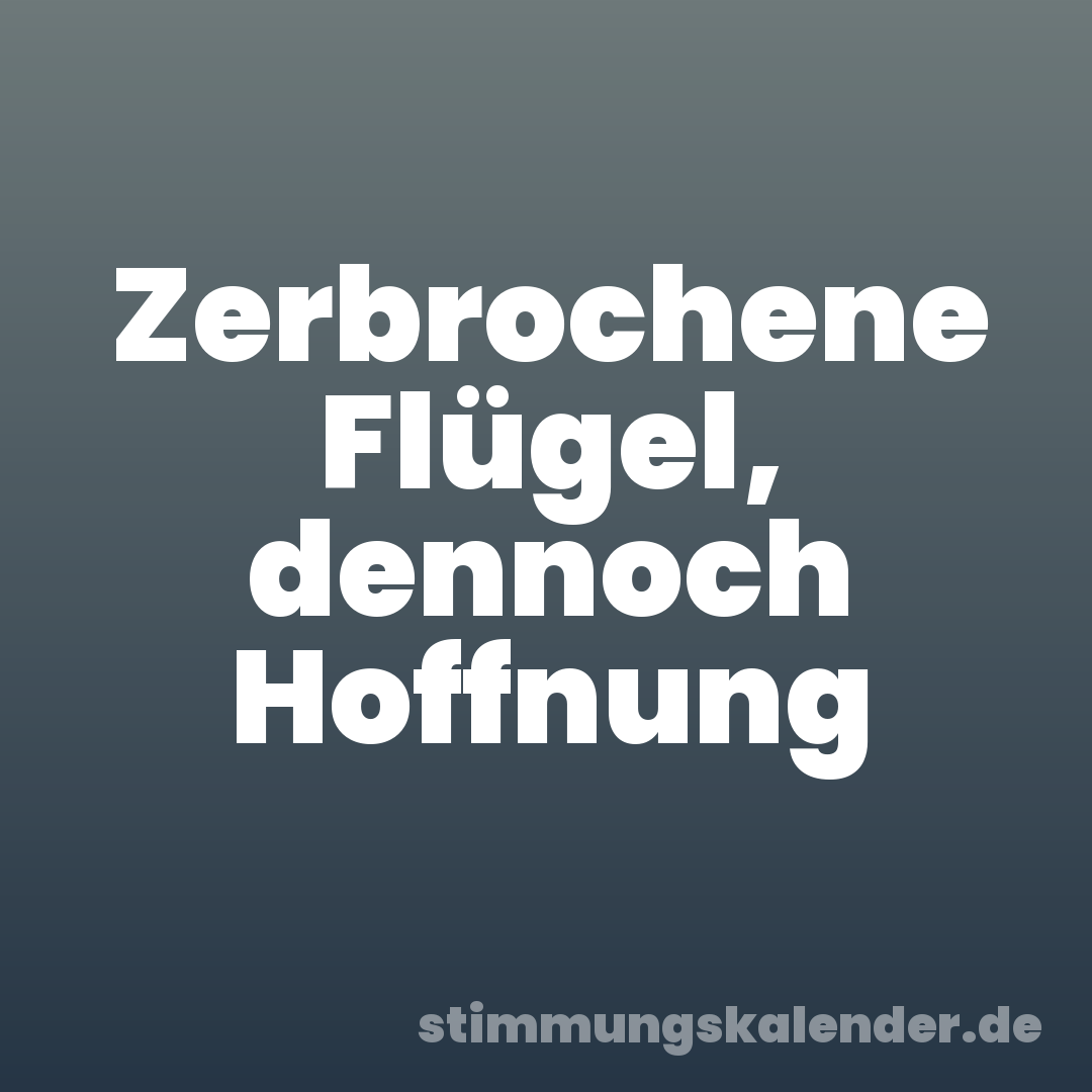 Zerbrochene Flügel, dennoch Hoffnung