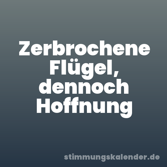 Zerbrochene Flügel, dennoch Hoffnung