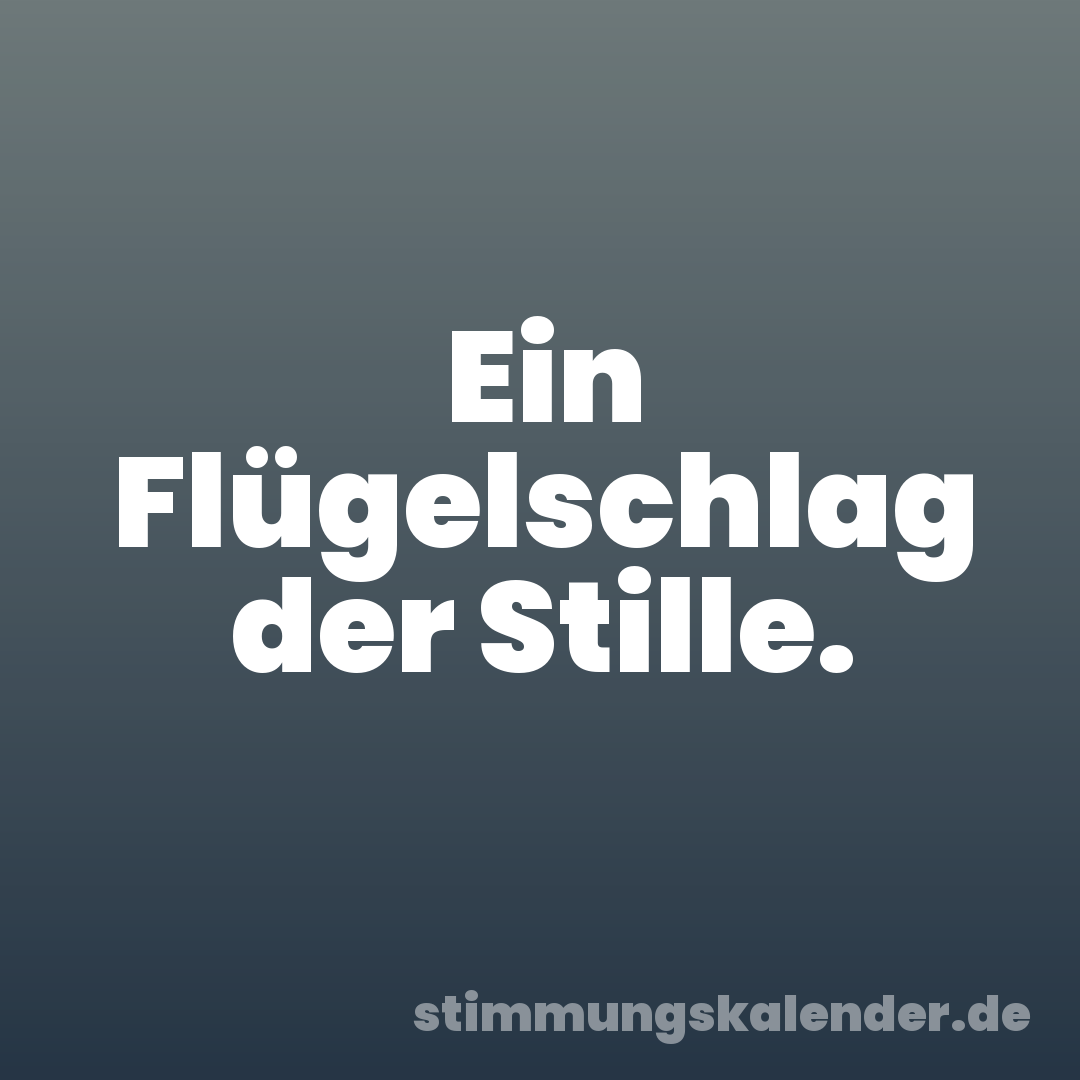 Ein Flügelschlag der Stille.