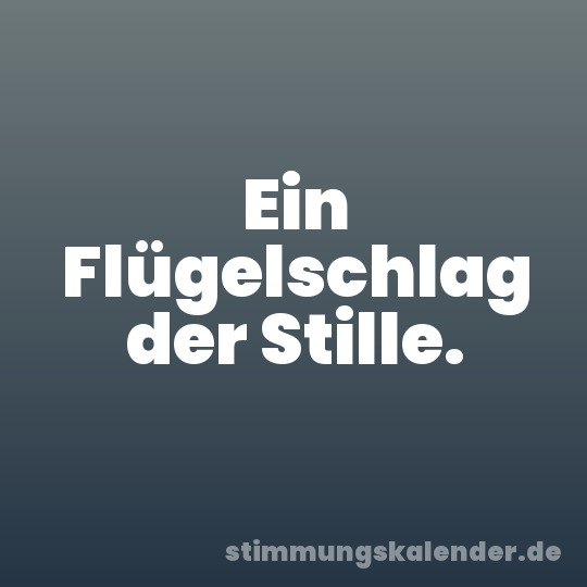 Ein Flügelschlag der Stille.