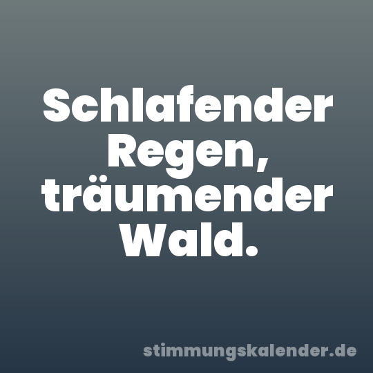 Schlafender Regen, träumender Wald.