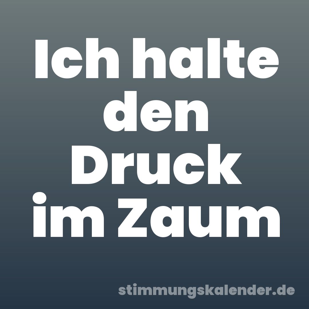 Ich halte den Druck im Zaum