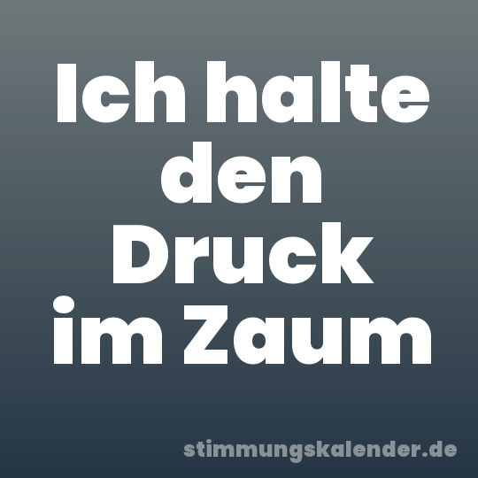 Ich halte den Druck im Zaum