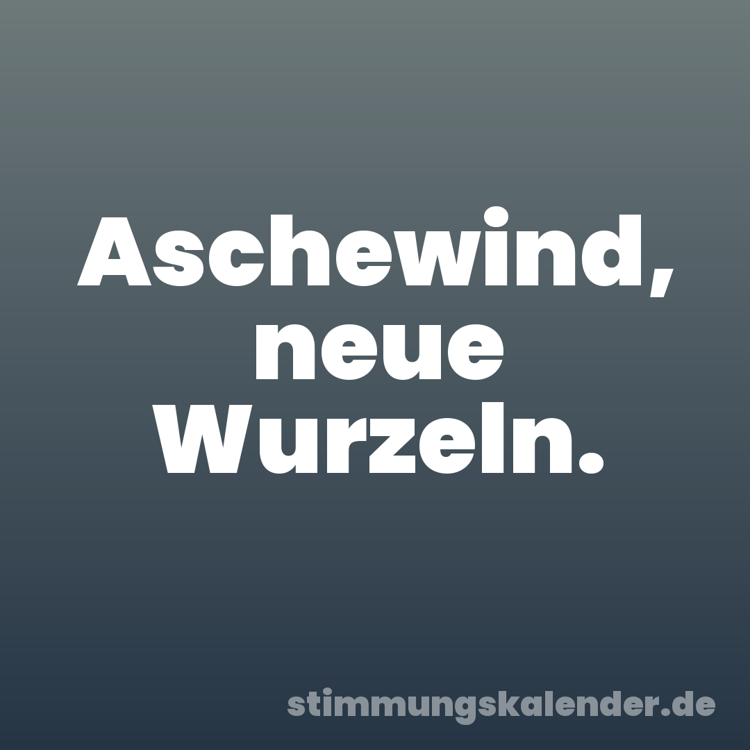 Aschewind, neue Wurzeln.