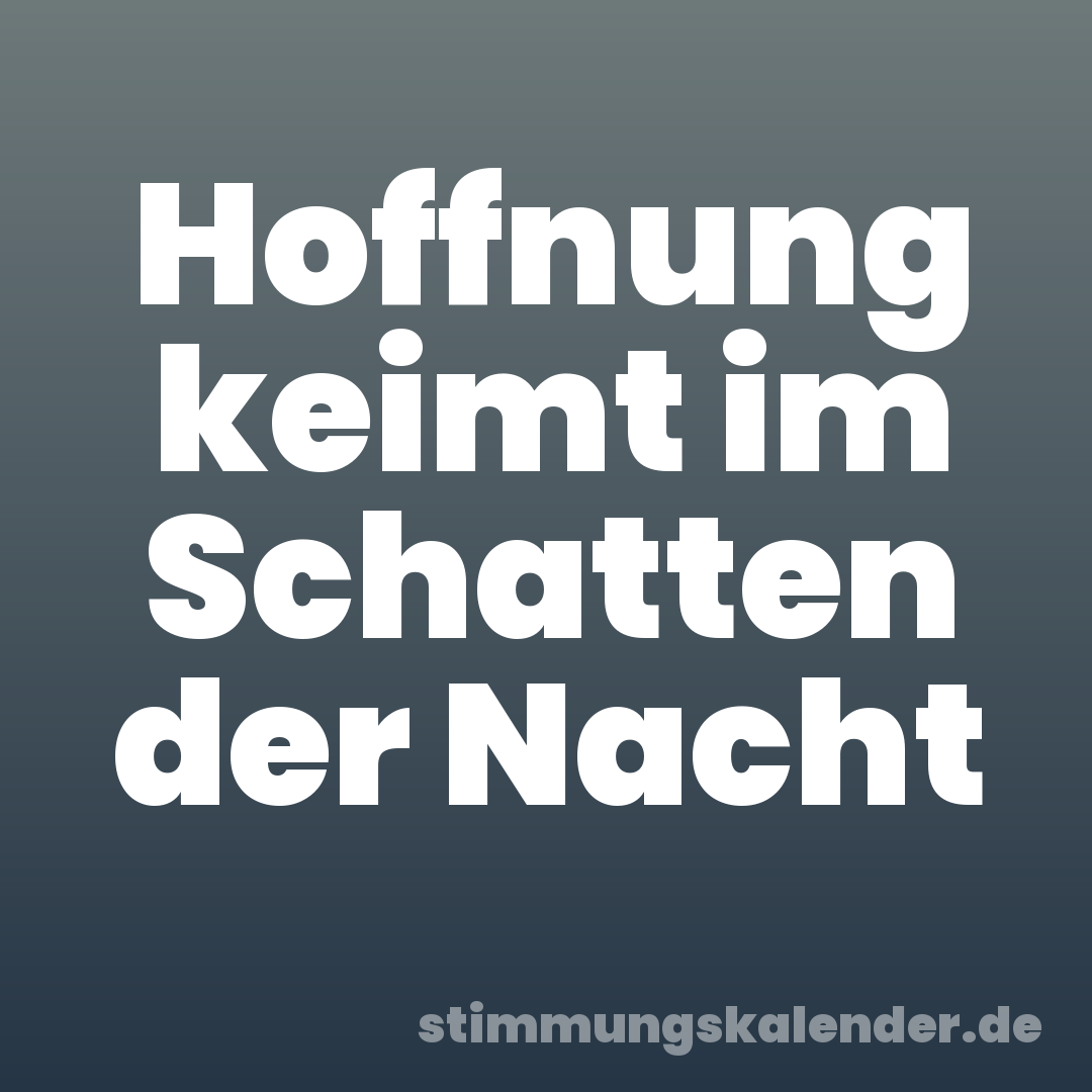 Hoffnung keimt im Schatten der Nacht