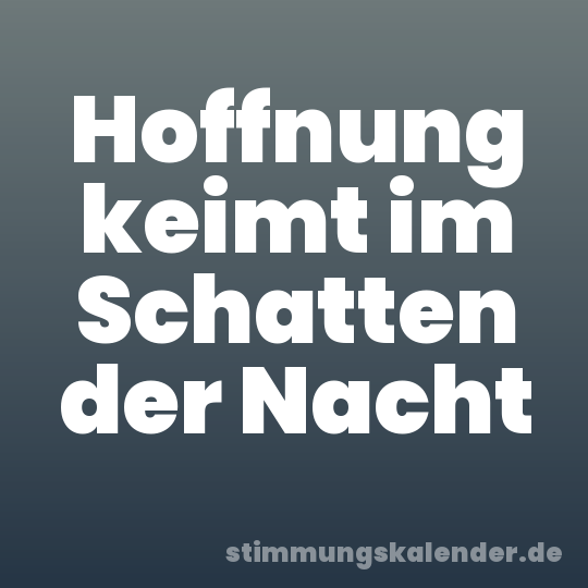 Hoffnung keimt im Schatten der Nacht