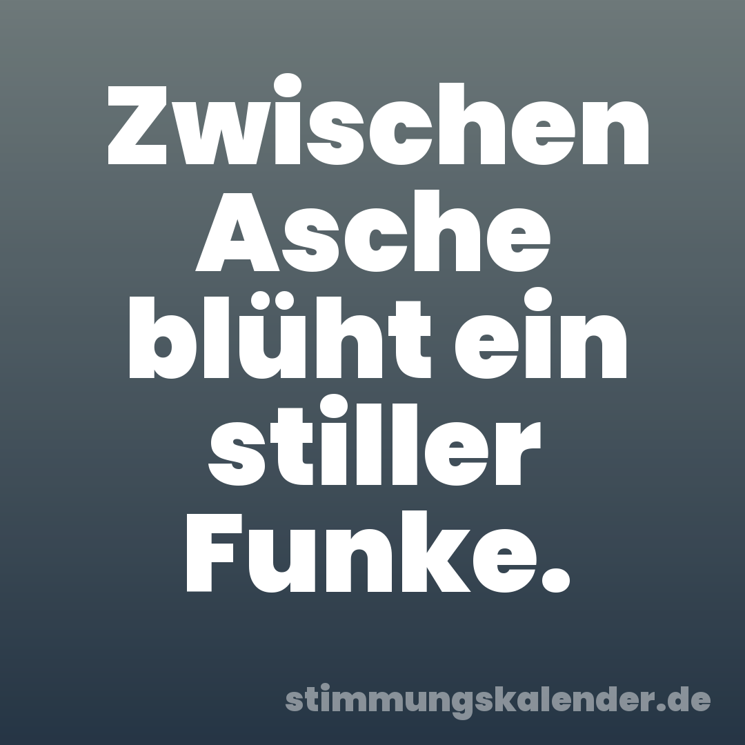 Zwischen Asche blüht ein stiller Funke.
