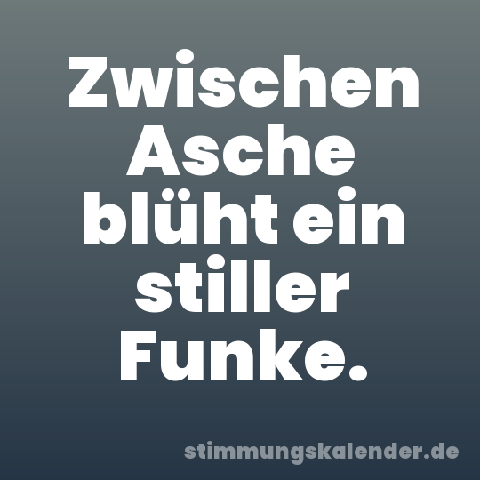 Zwischen Asche blüht ein stiller Funke.