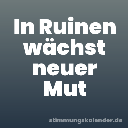 In Ruinen wächst neuer Mut
