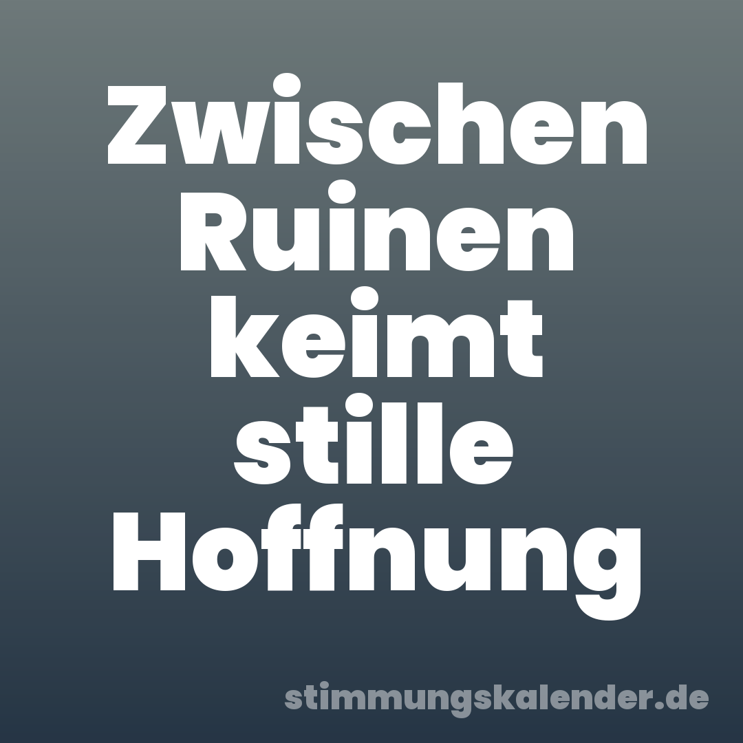 Zwischen Ruinen keimt stille Hoffnung