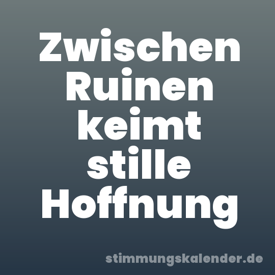Zwischen Ruinen keimt stille Hoffnung