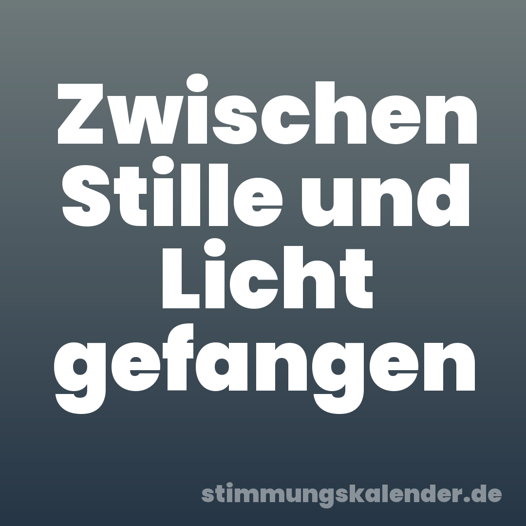 Zwischen Stille und Licht gefangen
