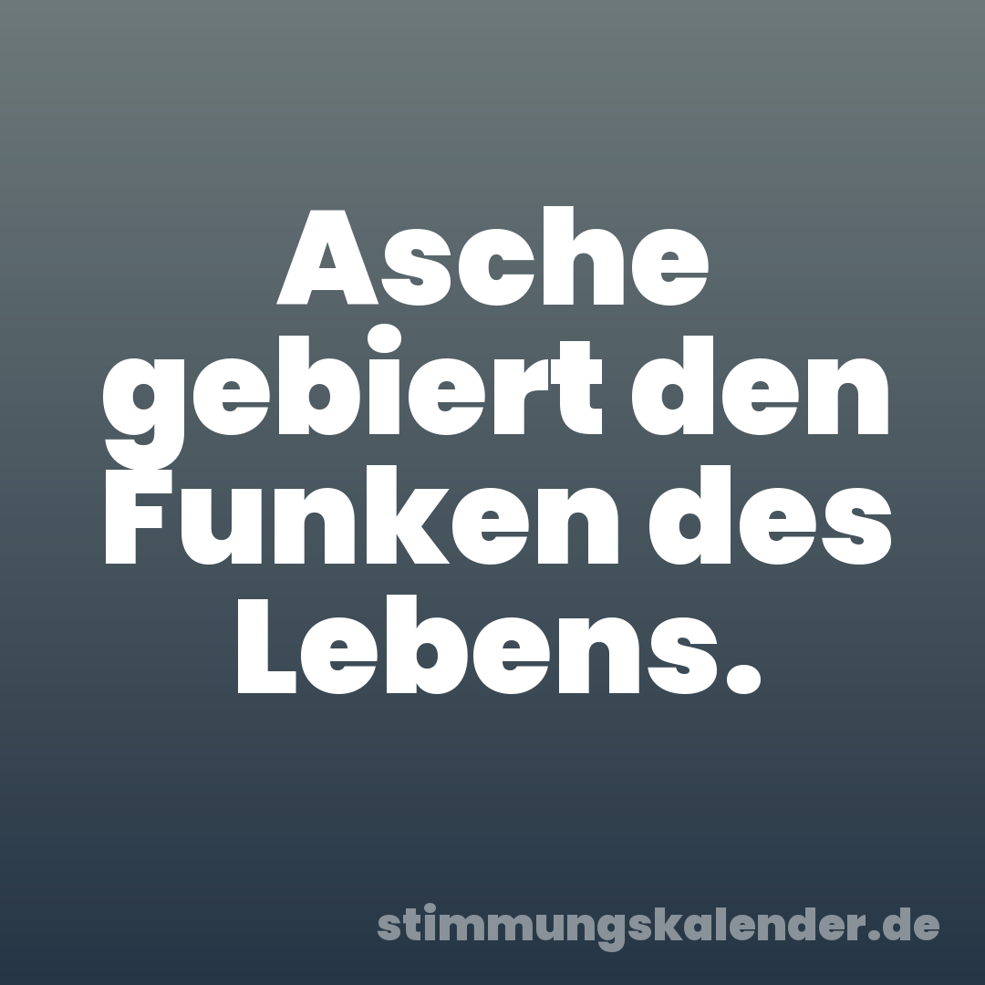 Asche gebiert den Funken des Lebens.
