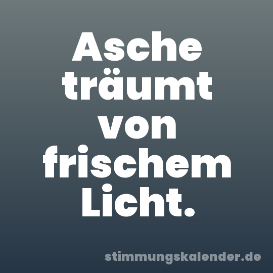 Asche träumt von frischem Licht.