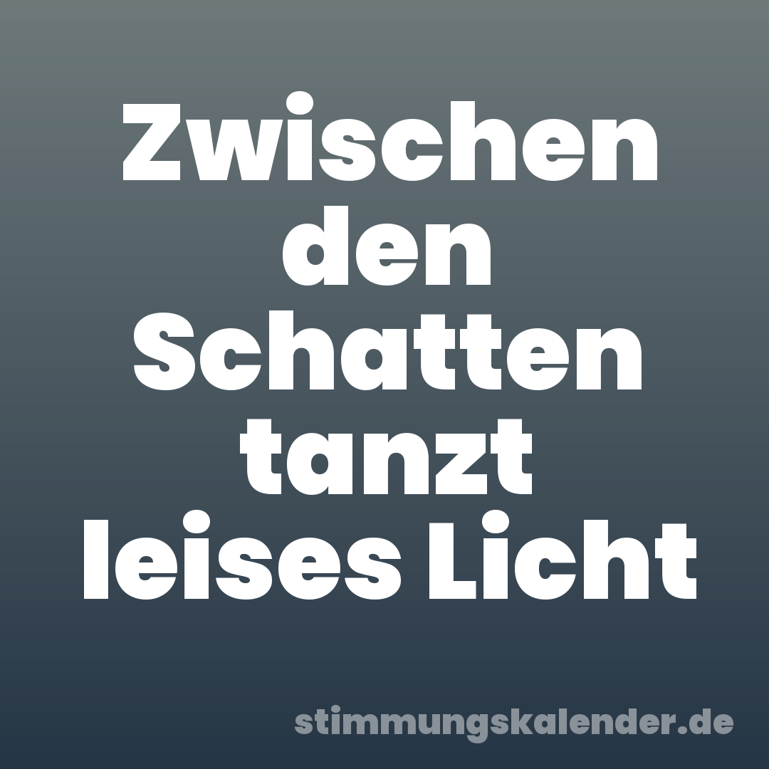 Zwischen den Schatten tanzt leises Licht