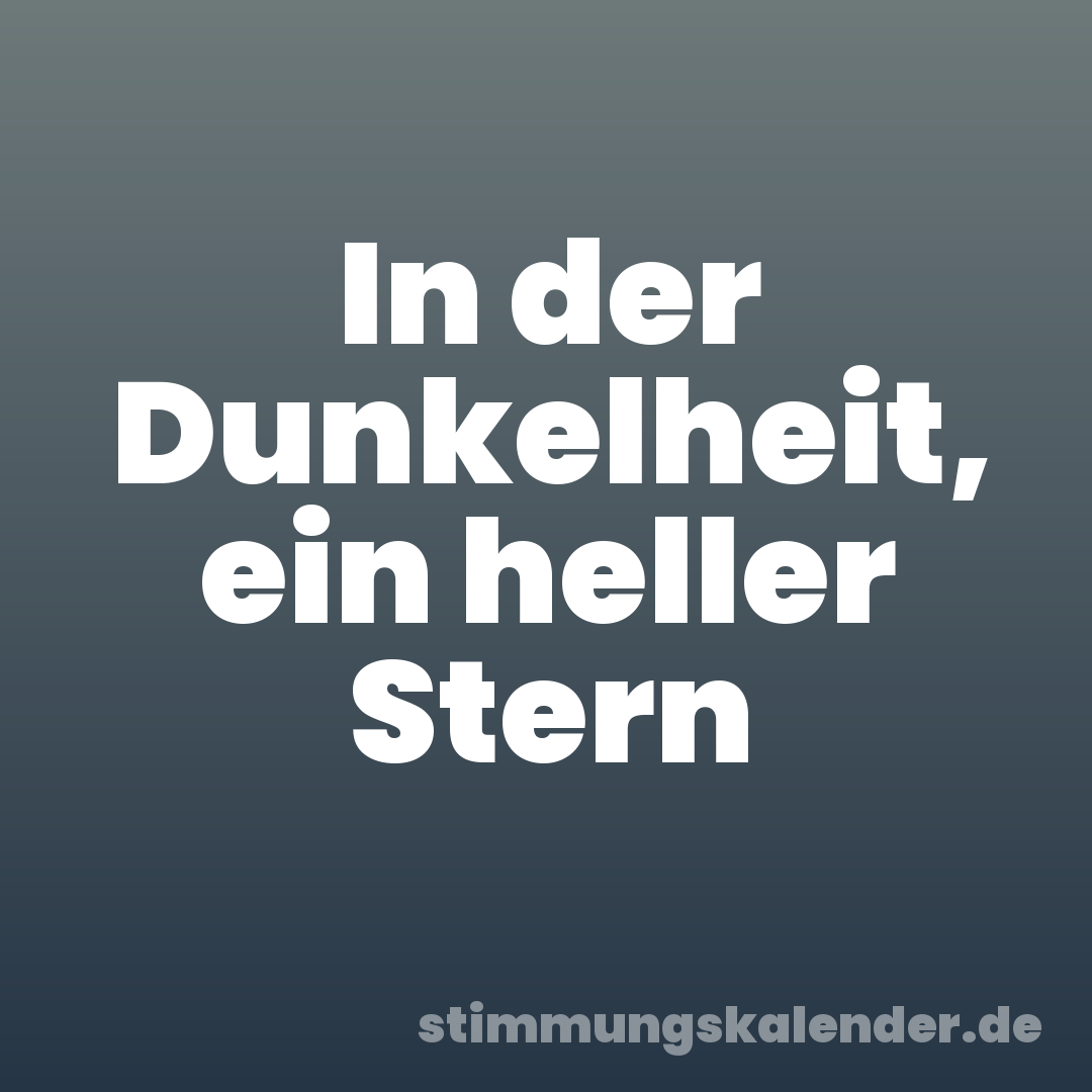 In der Dunkelheit, ein heller Stern