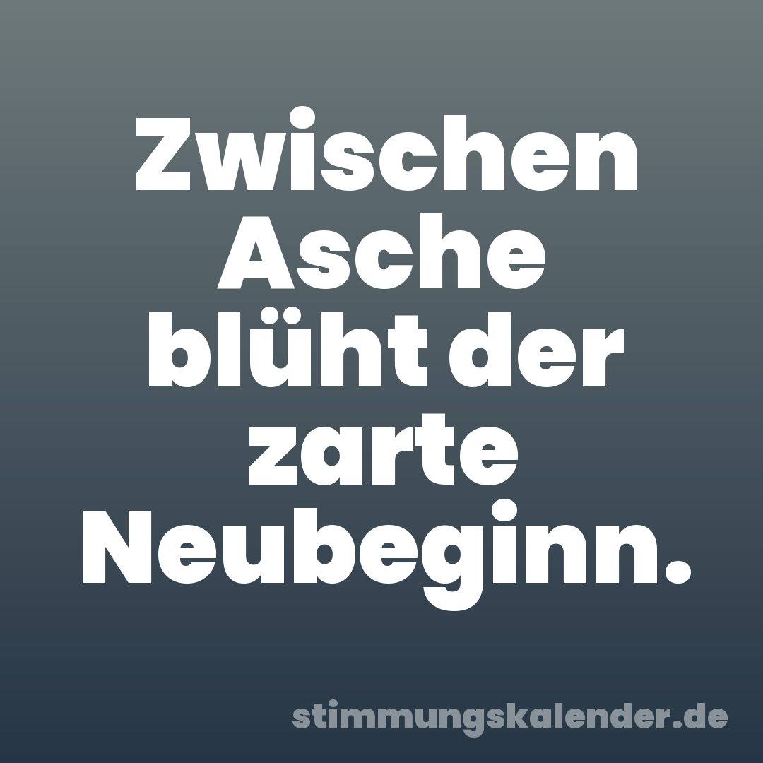 Zwischen Asche blüht der zarte Neubeginn.