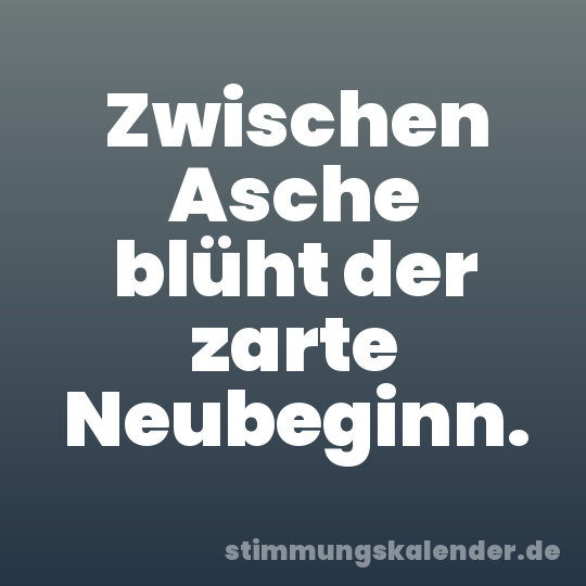 Zwischen Asche blüht der zarte Neubeginn.
