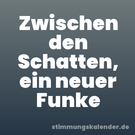 Zwischen den Schatten, ein neuer Funke