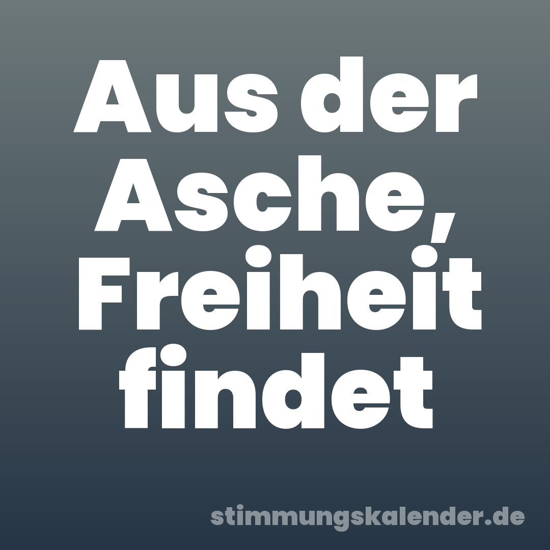 Aus der Asche, Freiheit findet
