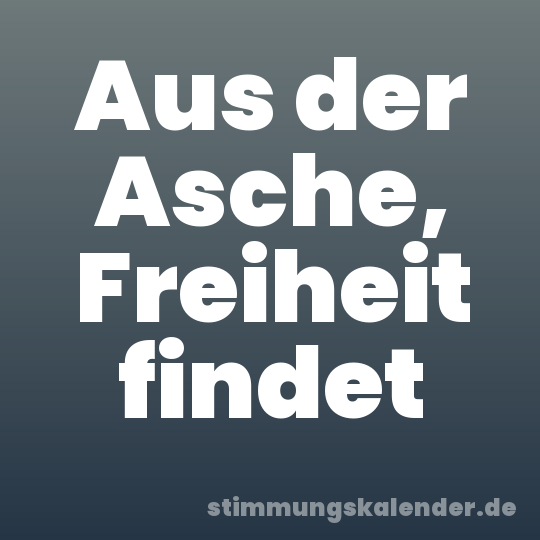 Aus der Asche, Freiheit findet