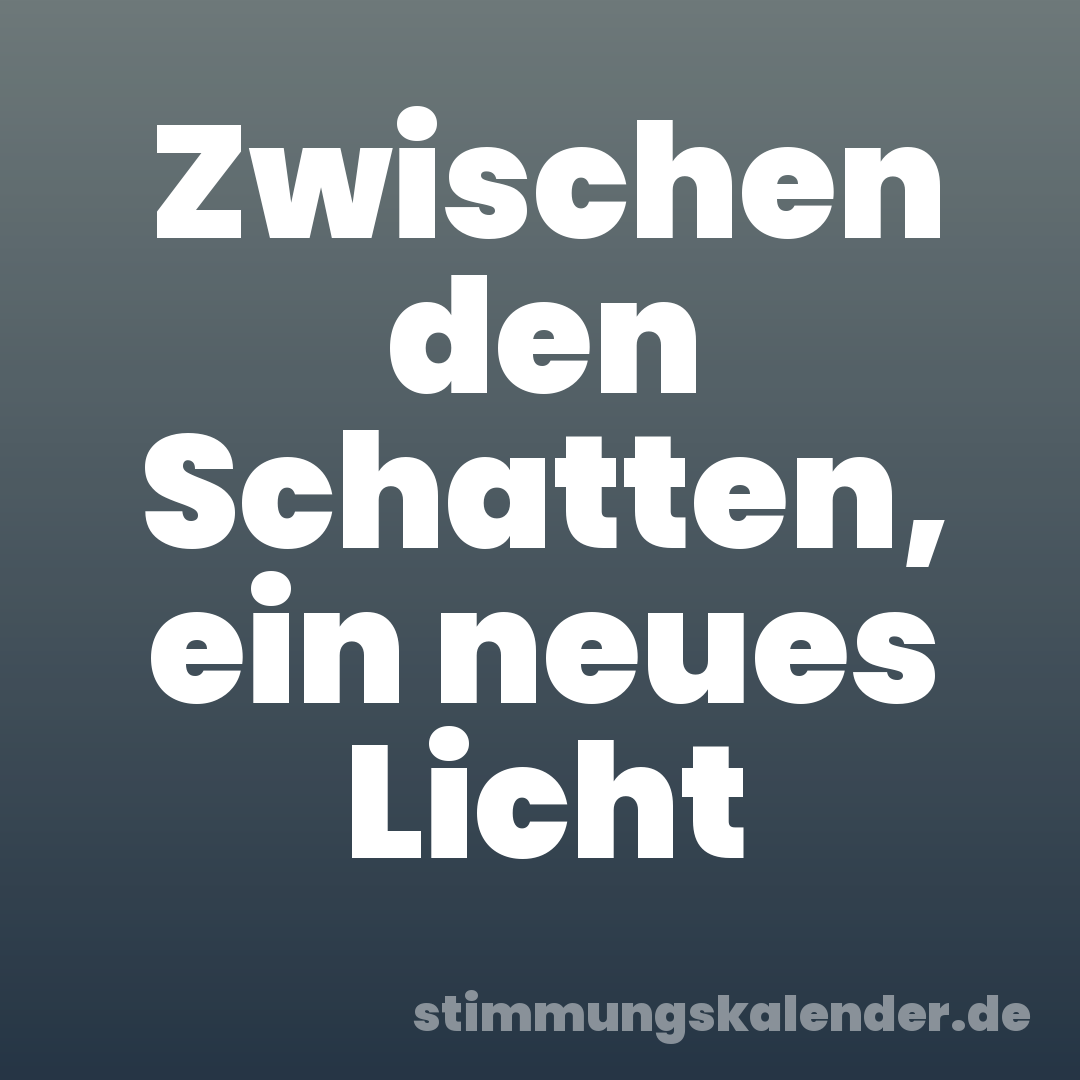 Zwischen den Schatten, ein neues Licht