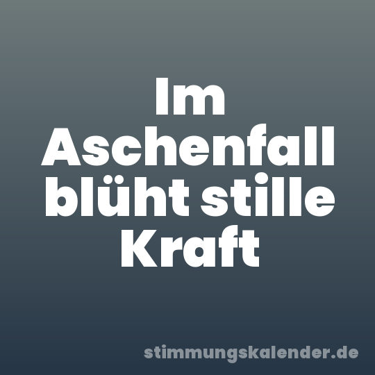 Im Aschenfall blüht stille Kraft