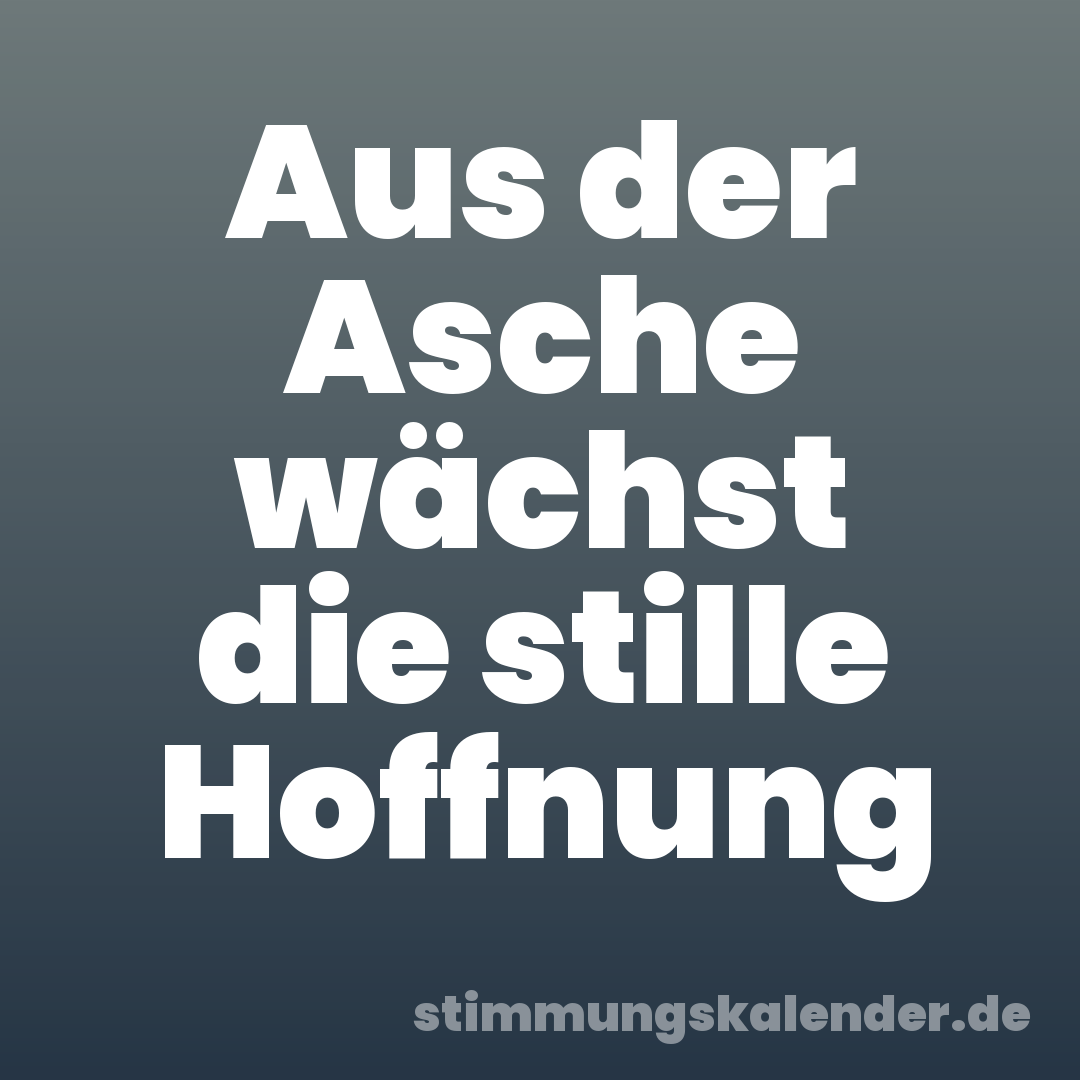 Aus der Asche wächst die stille Hoffnung