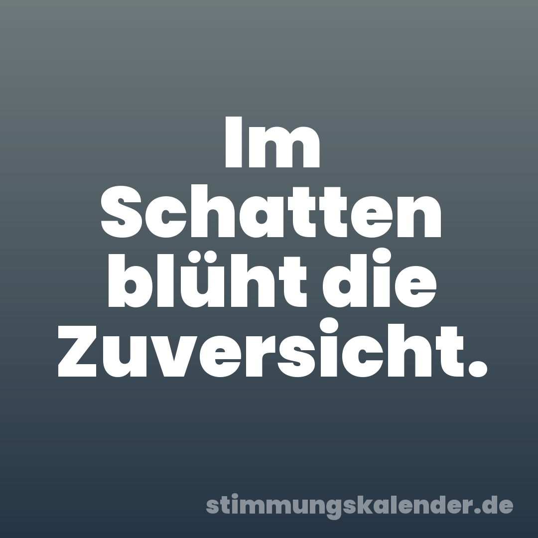 Im Schatten blüht die Zuversicht.
