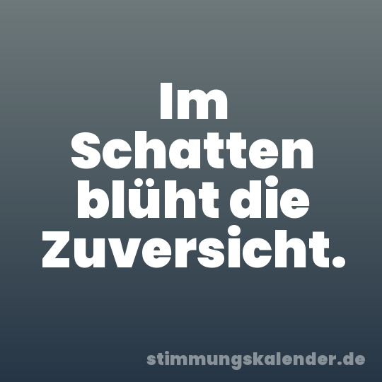 Im Schatten blüht die Zuversicht.