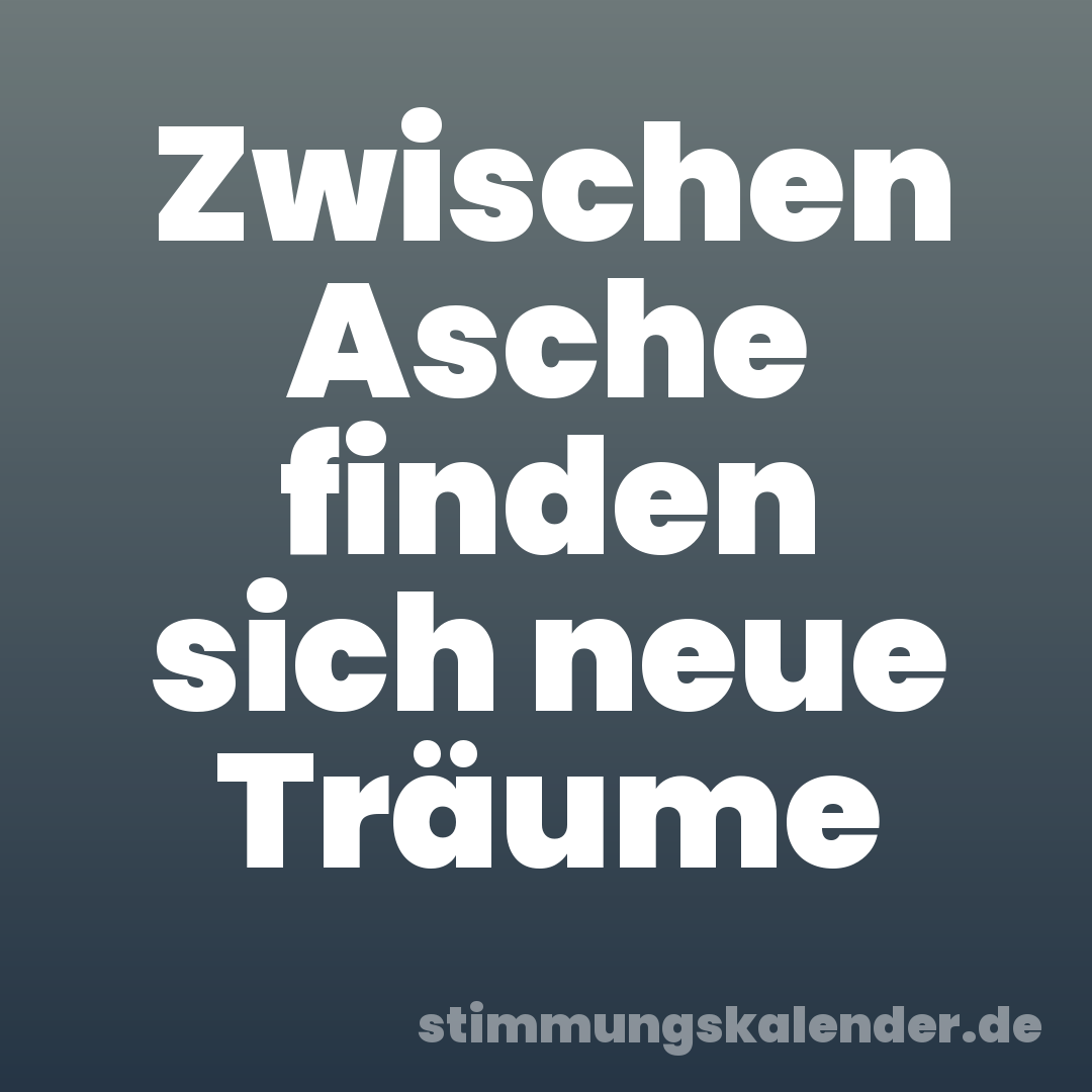 Zwischen Asche finden sich neue Träume