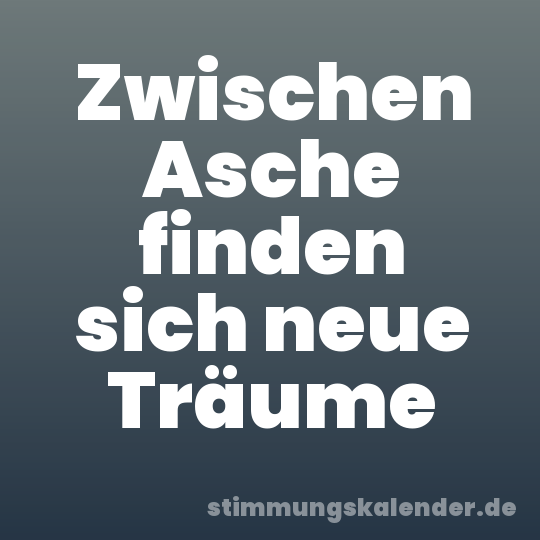 Zwischen Asche finden sich neue Träume